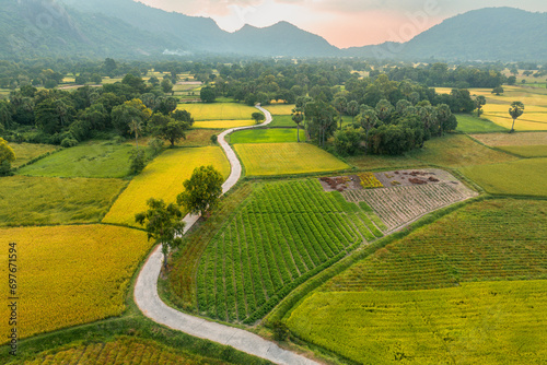 December 10, 2023: panoramic view of Ta Pa fields, An Giang province, Vietnam during the ripe rice season photo