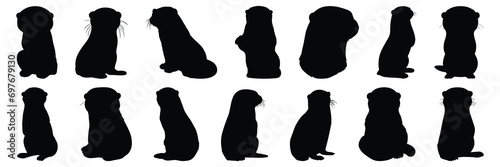 Otter silhouettes set, large pack of vector silhouette design, isolated white background photo
