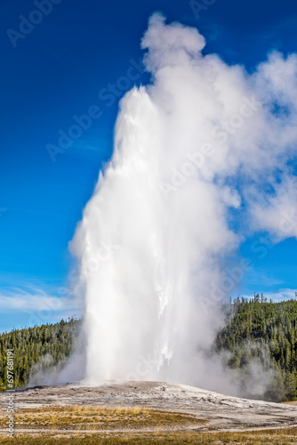 The famous geyser Old Faithful in the Yellowstone National Park