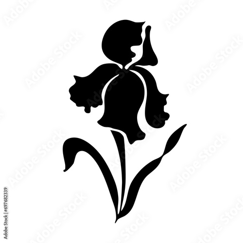 Iris flower. Black vector silhouette. photo