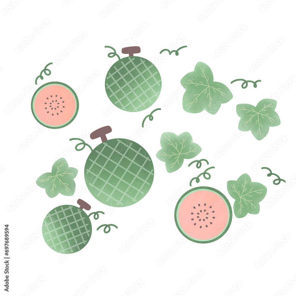 illustration of a fruit melon for decoration illustration of a fruit melon for decoration