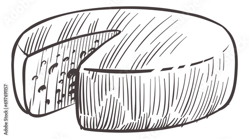 Gouda sketch. Hand drawn cheese wheel cut photo