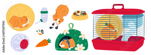 Hamster accessories. Pets cage with feeder and running wheel. Cartoon domestic rodents eat seeds or carrot. Little animals. Drinker and feeding bowl. Vet shop. Garish vector veterinary set