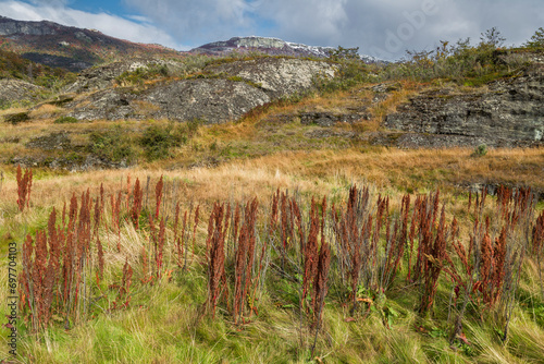 Tableau sur toile Parque Nacional,  Tierra del Fuego, Argentina