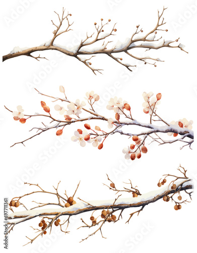 Vector watercolor illustration branches with snow，winter or spring branches，Christmas branches 