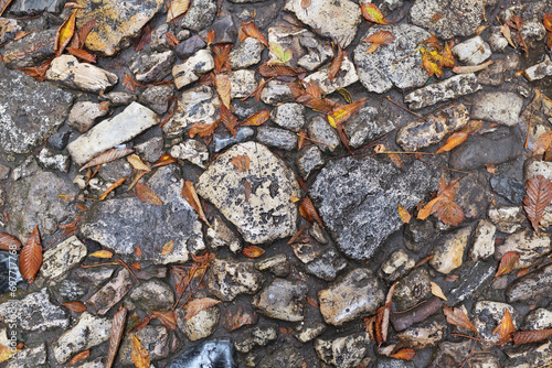 Stone pavement after rain in winter time