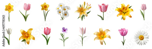 Transparent Background Spring Flowers Set © nonblok