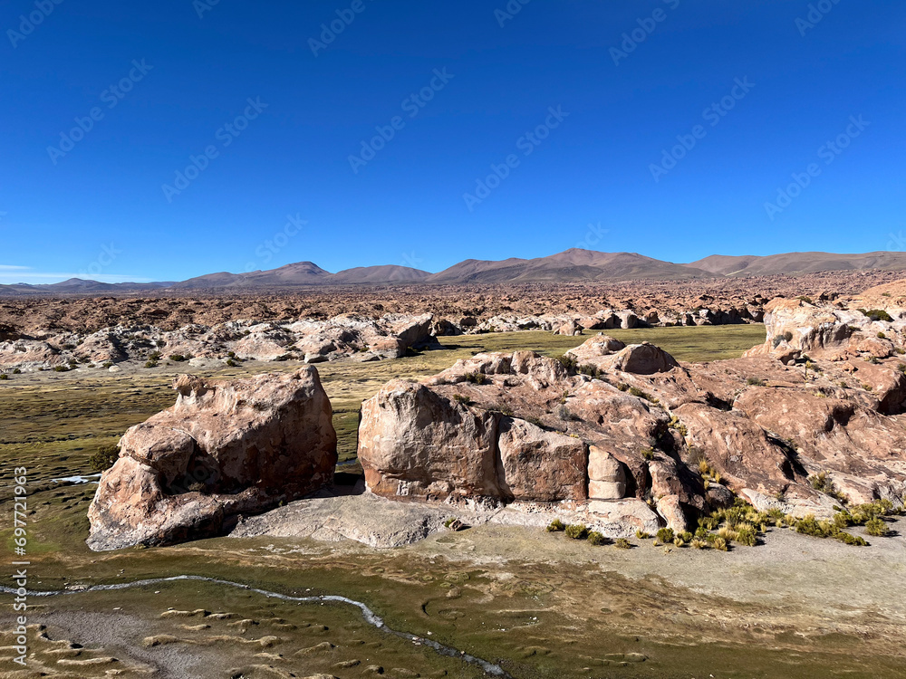 Fototapeta premium Viscacha