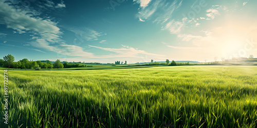 Green Field under Clear Blue Sky with Copy Space Panorama