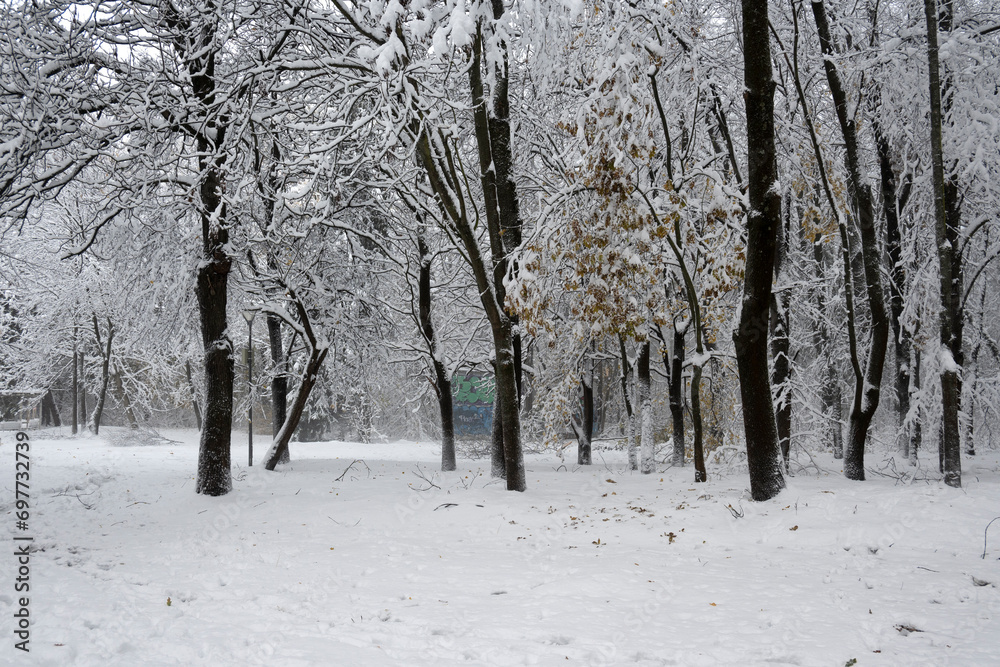 Winter view of South Park in city of Sofia, Bulgaria Winter view of South Park in city of Sofia, Bulgaria
