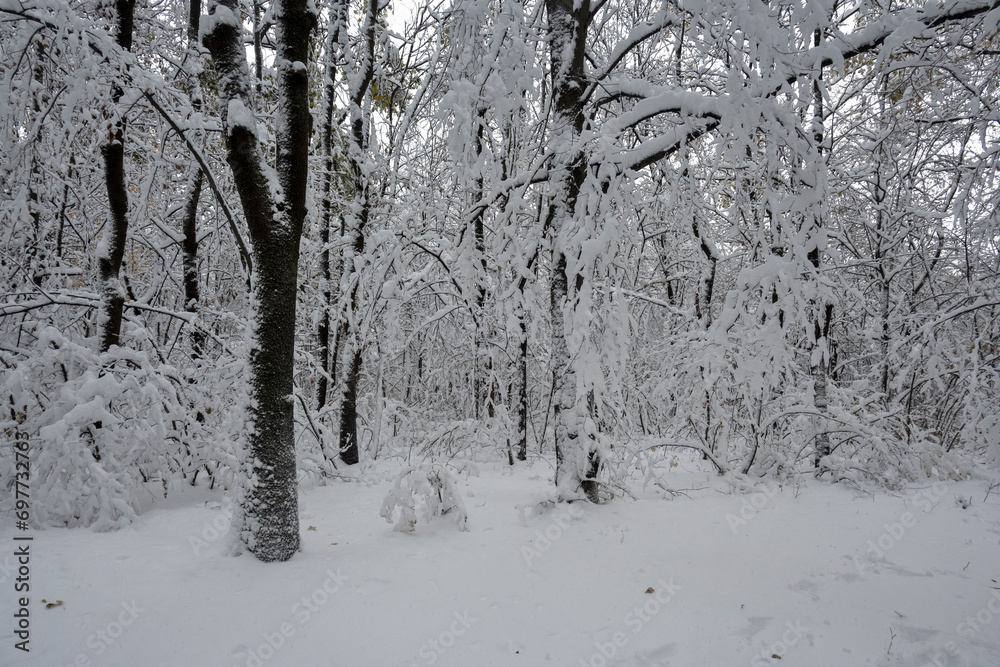 Fototapeta premium Winter view of South Park in city of Sofia, Bulgaria