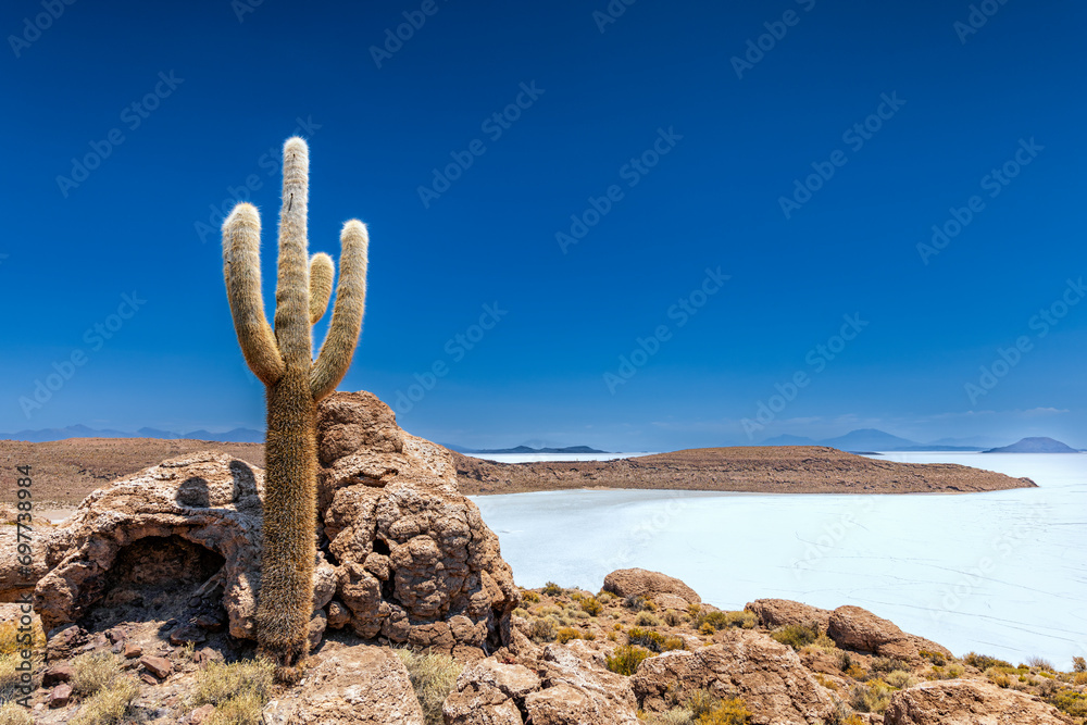 Salar de Uyuni