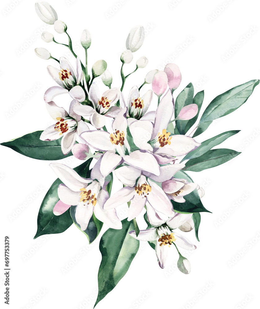 Obraz premium Watercolor Bouquet with Leaves and Lemon Flowers