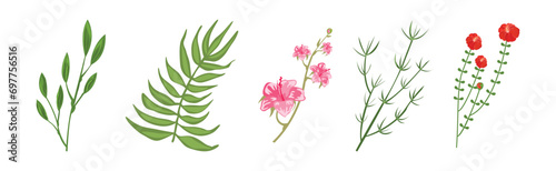 Tropical Blooming Flora and Botany Plant Vector Set