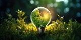 Environmental technology and Sustainable development, save the planet and energy, Recycle and reuse, Light bulb of eco friendly in the green nature
