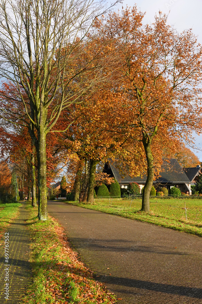 Straight single lane road with a footpath in autumn in Germany