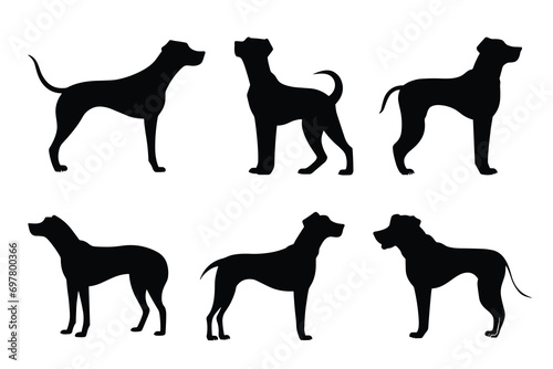 Dog silhouette. Dog vector illustration. Affectionate puppies on white background. © Creative Designer