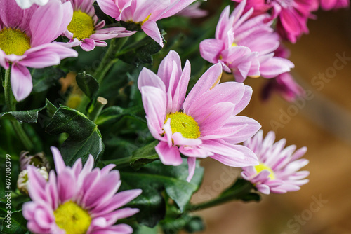 Beautiful bouquet of pink flowers  bouquet of chrysanthemums