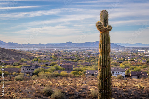 Phoenix from the north with Saguaro cactus in the foreground
