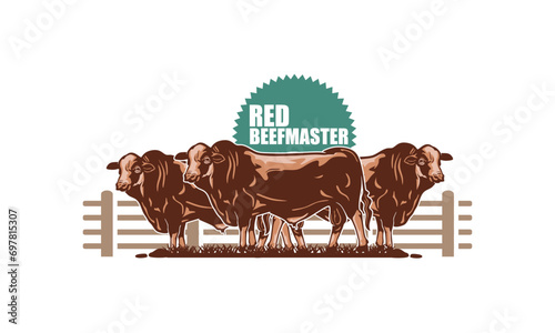 RED BEEFMASTER CATLLE LOGO, silhouette of great bull standing in ranch vector illustrations
