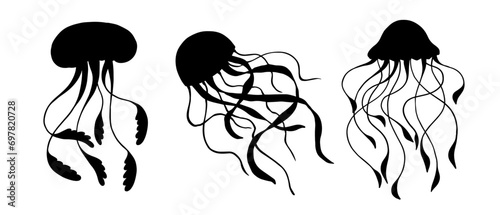 Set of silhouettes,doodle jellyfish. Vector graphics.