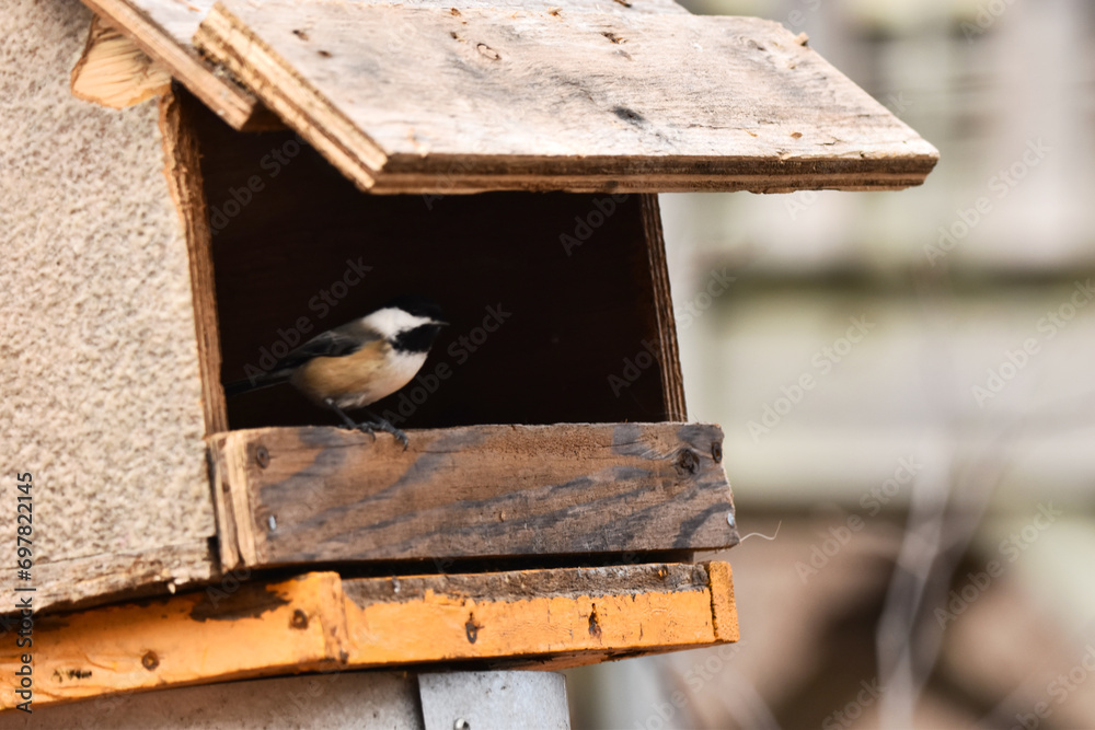 Fototapeta premium La Plaine 24 Décembre 2023
