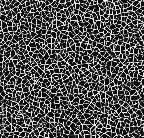 black and white background, abstract template, surface design