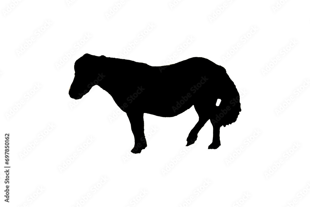 Grafik Pony Fohlen schwarz weiß
