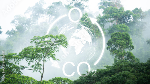 Carbon dioxide absorption and oxygen release concept, Many trees at the forest and mist with oxygen O2 and carbon dioxide CO2 molecules, Carbon dioxide emissions and its impact on nature.