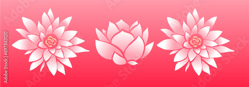 Lotus flower, pink, vector art,
