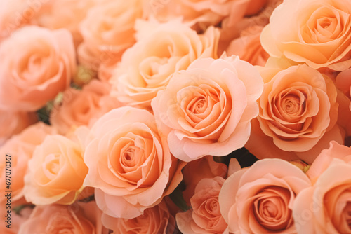Full frame of peach roses, capturing their delicate texture and color.