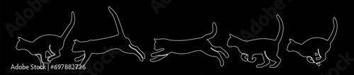 black white cat cartoon