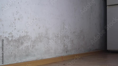 Mold in the home. Mould grows best in damp and poorly ventilated areas, and reproduces by making spores
