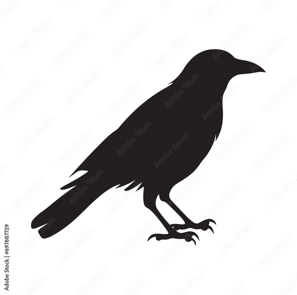 Bird Silhouette vector icon isolated on white background. Bird Silhouette vector icon isolated on white background.