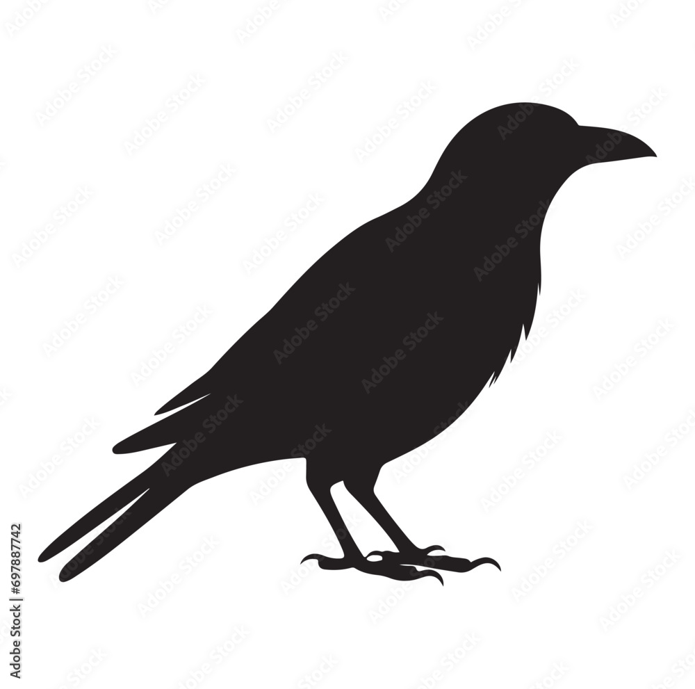 Bird Silhouette vector icon isolated on white background. Bird Silhouette vector icon isolated on white background.