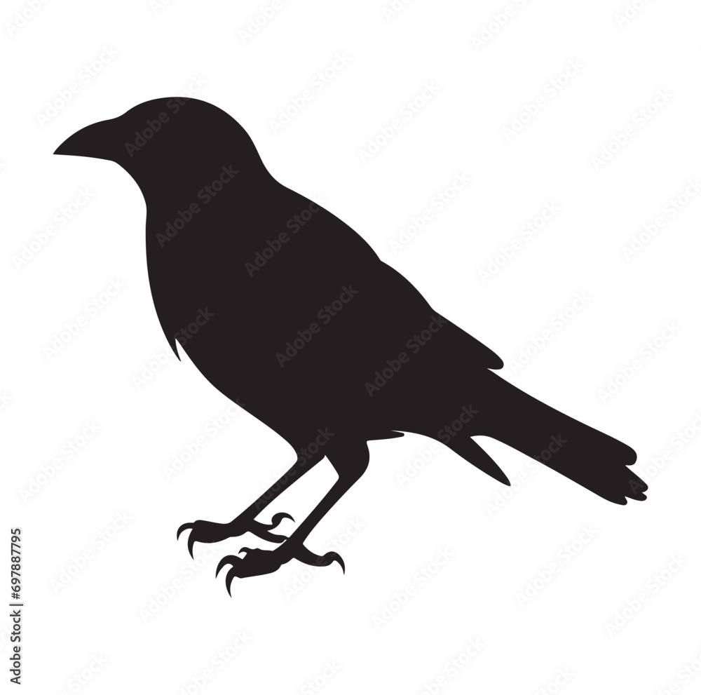 Bird Silhouette vector icon isolated on white background.