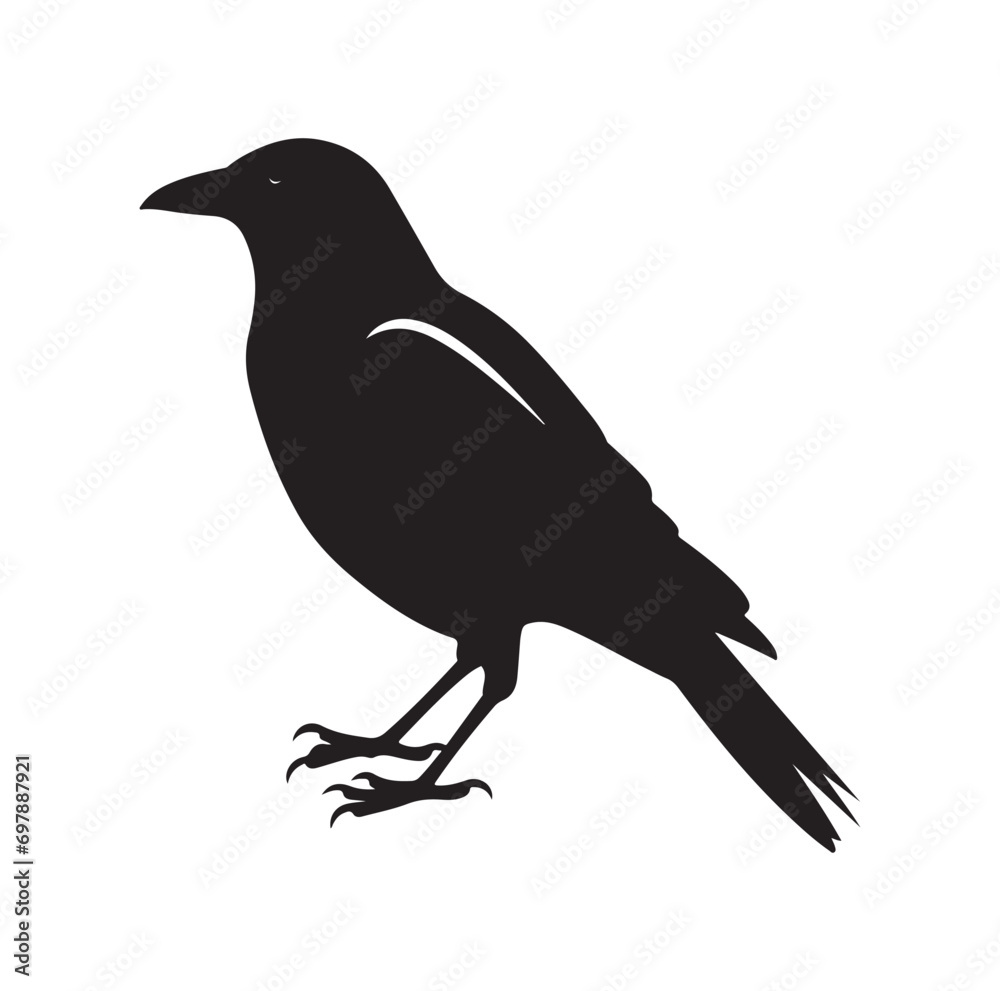 Bird Silhouette vector icon isolated on white background.