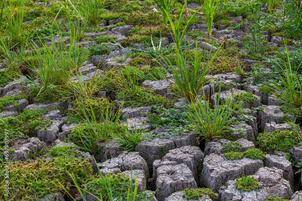 Dry cracked earth background. Global warming and climate change concept. Dry cracked earth background. Global warming and climate change concept.