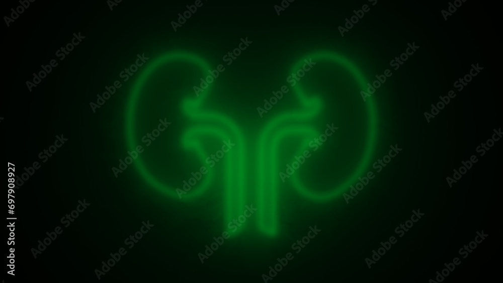 Urinary system part symbol. neon kidney icon. glowing kidney icon. kidney line icon. Elements of Medicine in neon style icons. Urinary system part symbol. neon kidney icon. glowing kidney icon. kidney line icon. Elements of Medicine in neon style icons.