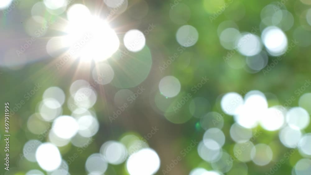 Blur green bokeh with light flare outdoor natural garden, Green natural garden Blur background.