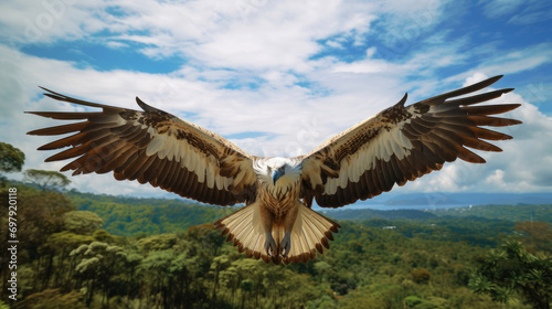 A Philippine Eagle soaring in the sky, showcasing its impressive wingspan and regal presence © Veniamin Kraskov