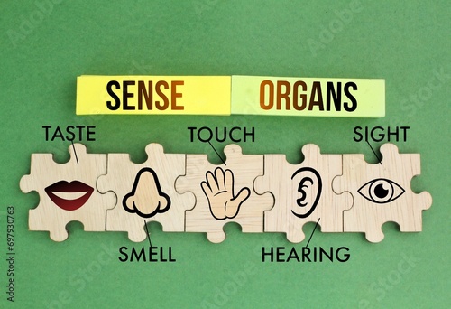 Puzzle with five Sense organs icons namely sight, hearing, smell, teste and touch. basic 5 human senses photo