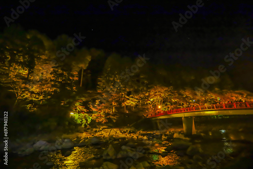 ライトアップされた秋の香嵐渓