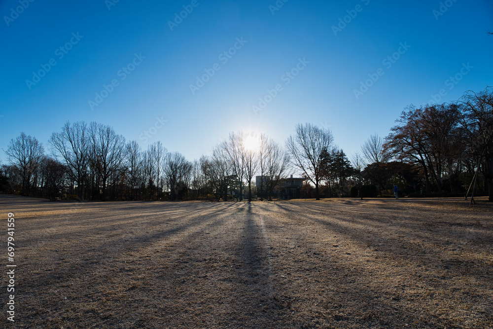 A winter park reflecting beautiful morning shadows A winter park reflecting beautiful morning shadows