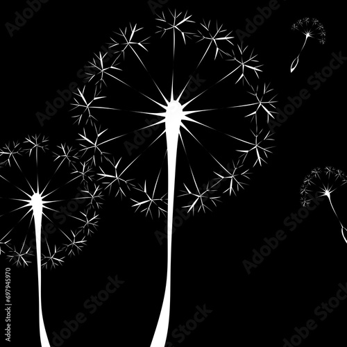Pusteblumen