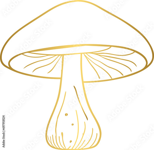 Cuadro en lienzo Golden celestial and mystic magical mushroom element in vintage boho style