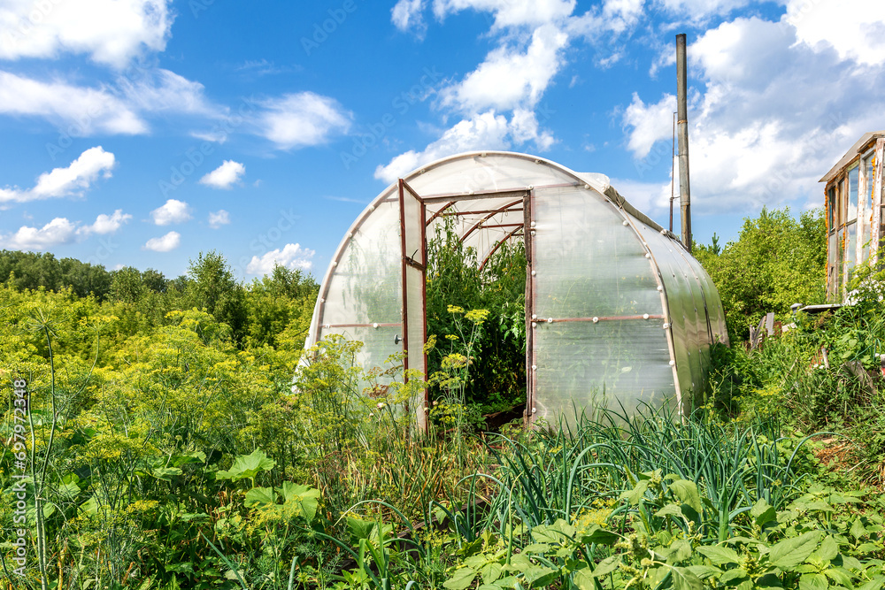 Ταπετσαρία Greenhouse for vegetables in an overgrown village garden