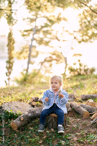 Smiling little girl with a bouquet of dandelions sits on a stump in the forest