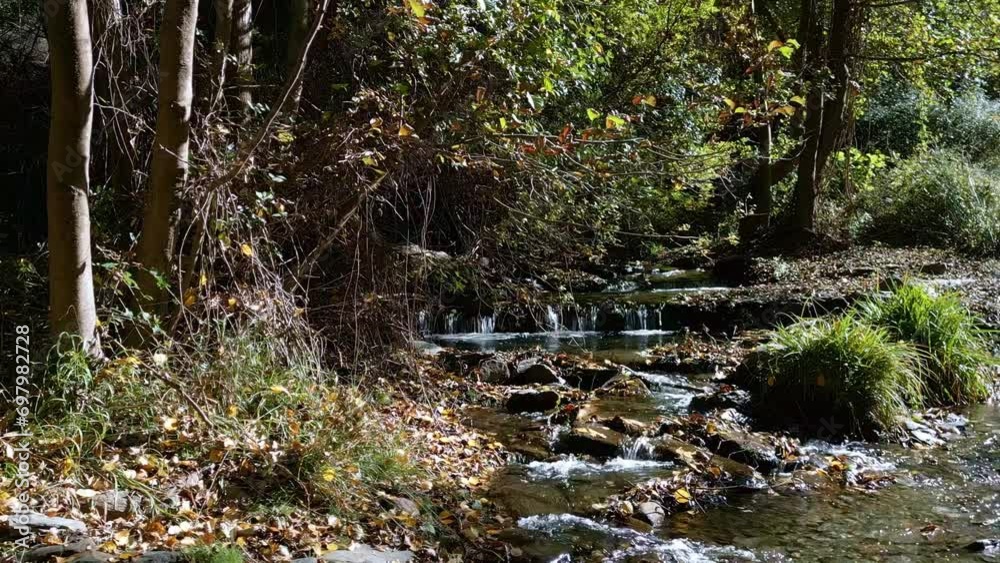 Stream in the forest in autumn. Dolly out mountain river aerial view. Pure and fresh water. Andalusia. Spain. Stream in the forest in autumn. Dolly out mountain river aerial view. Pure and fresh water. Andalusia. Spain.