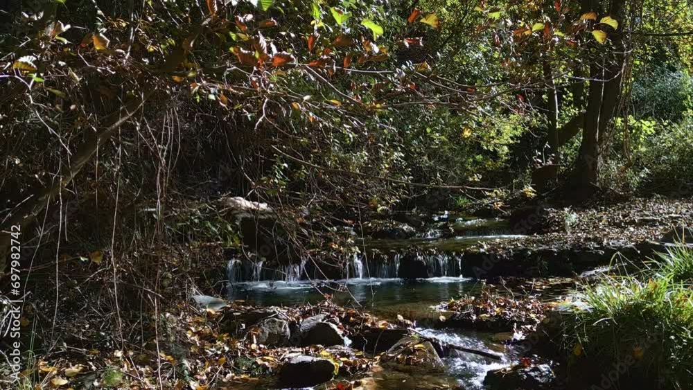 Stream in the forest in autumn. Dolly out mountain river aerial view. Andalusia. Spain. Stream in the forest in autumn. Dolly out mountain river aerial view. Andalusia. Spain.